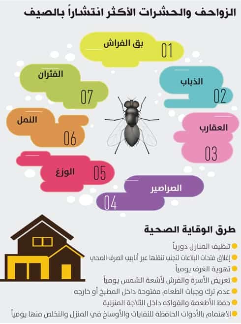 مكافحة الحشرات